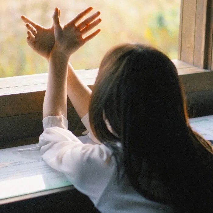 我的青春小鸟一去再回来